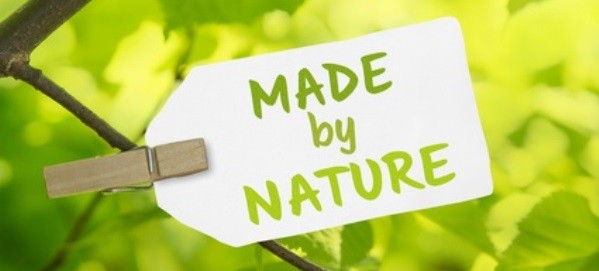 Nature sells - Körperpflegeprodukte im Wandel