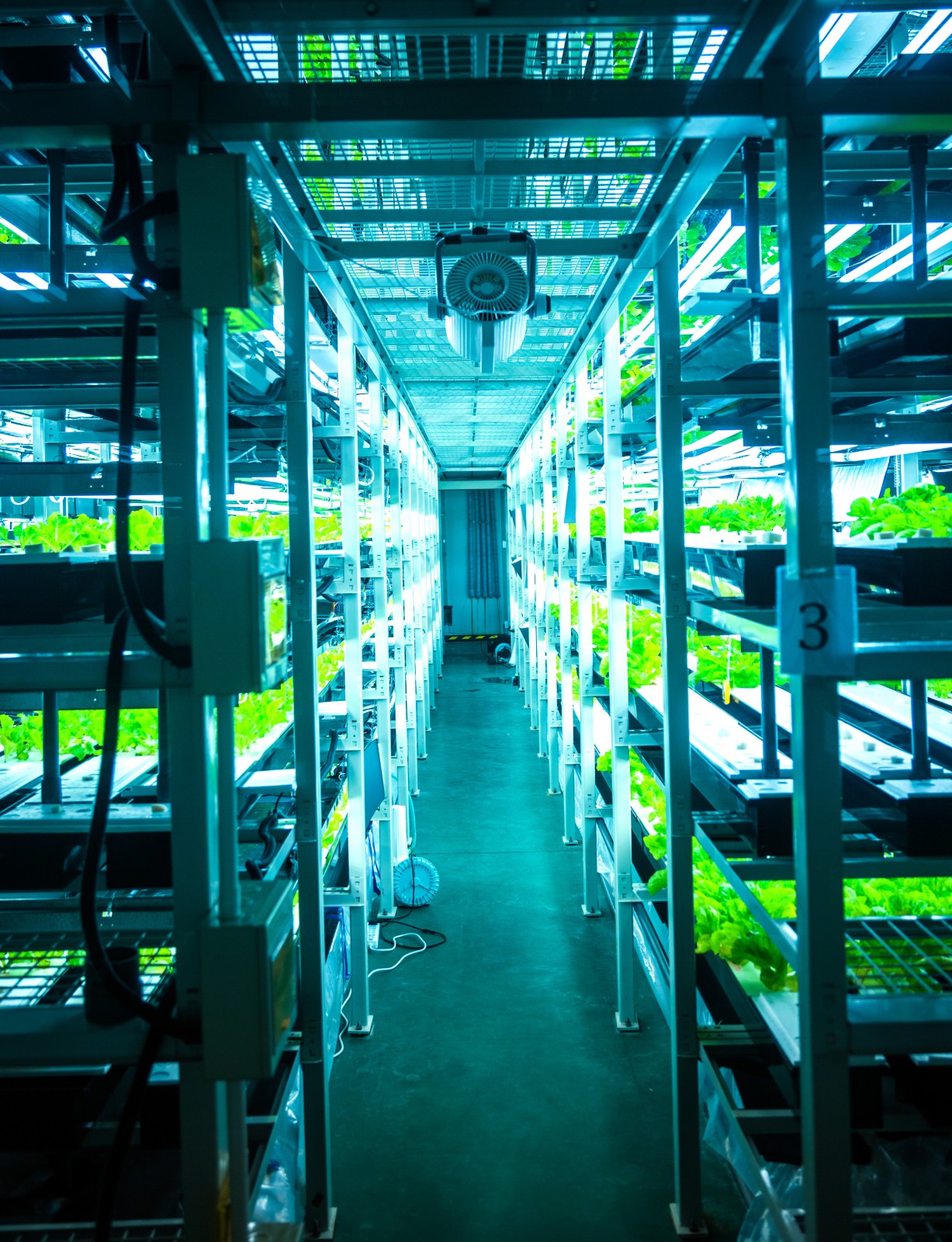 Vertical farming: approaching the future of agriculture